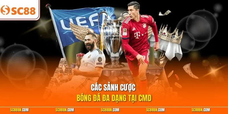 Các sảnh cược bóng đá đa dạng tại CMD